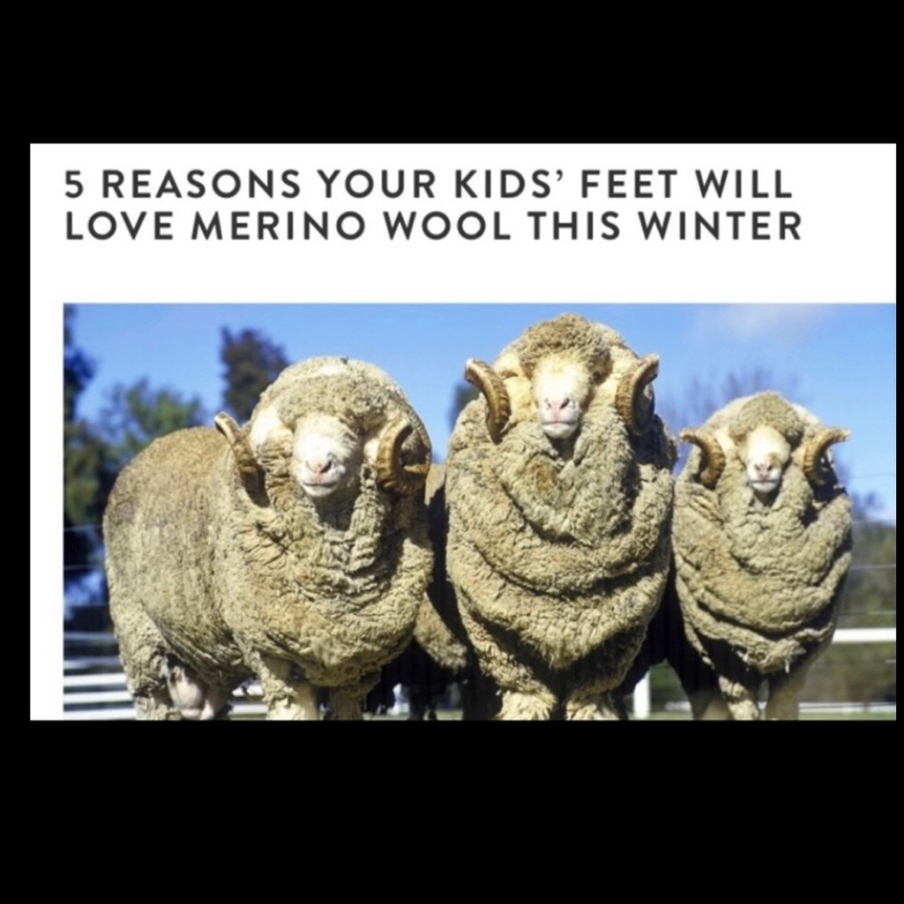 Aussie Merino Suede/Wool Kids Boots - Picture 10 of 14